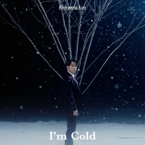 Kim Sung Kyu (김성규) - I'm Cold